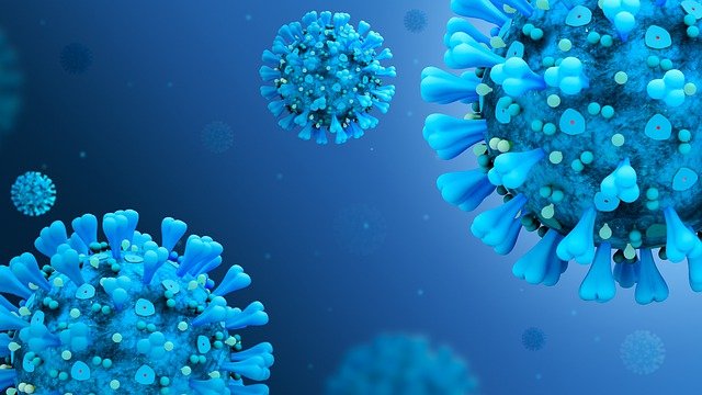 coronavirus disease covid 2019 5060427 640