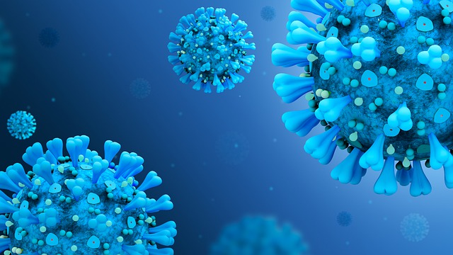 coronavirus disease covid 2019 5060427 6401