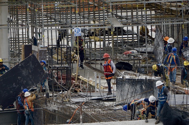 first mayo 4592881 640