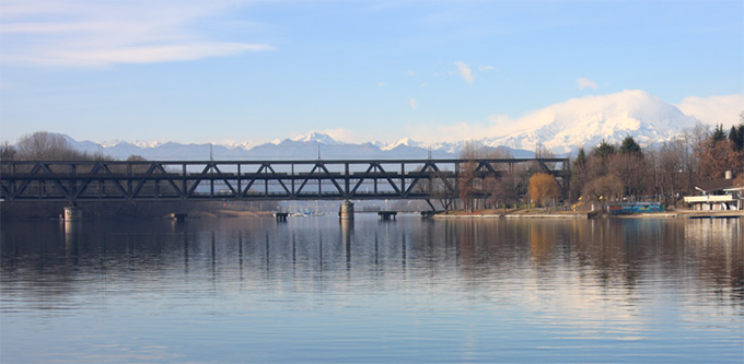 Le teche del museo abortito finiscono all'asta