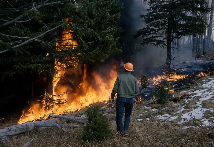 Dichiarato lo stato di massima pericolosità per gli incendi boschivi in tutta la Regione
