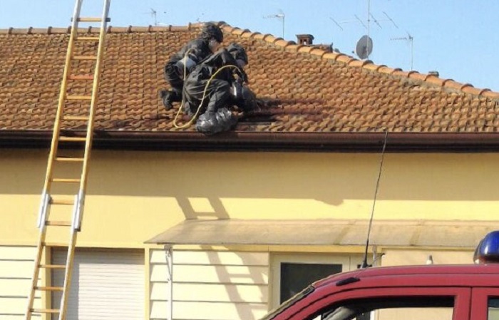 Nidi di calabroni: settanta interventi dei Vigili del Fuoco in dieci giorni