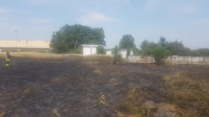 Sterpaglie prendono fuoco a San Pietro Mosezzo. Incendio domato